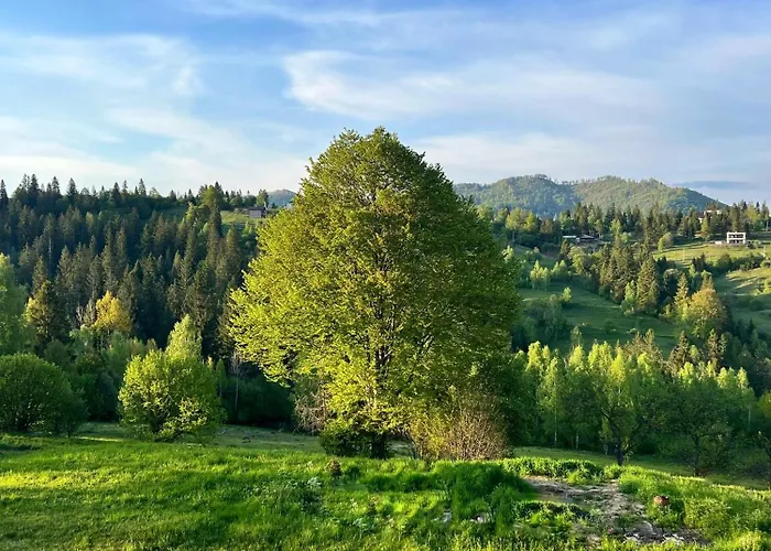 вирій Вилла Славское